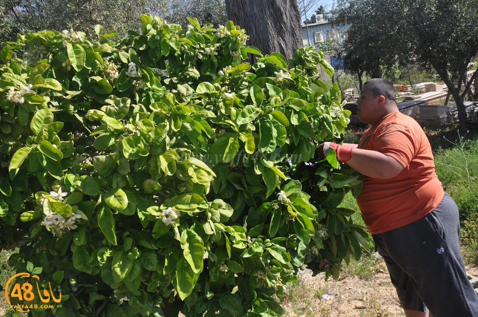 tasohamlalanjna (36).jpg